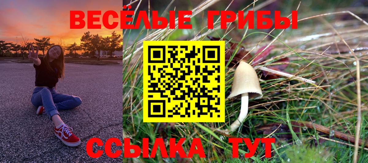 Псилоцибиновые грибы Magic Shrooms Чапаевск